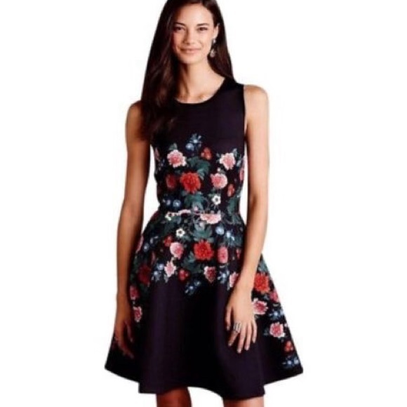 Anthropologie Dresses Erin Fetherston Rose Neoprene Wedding Guest